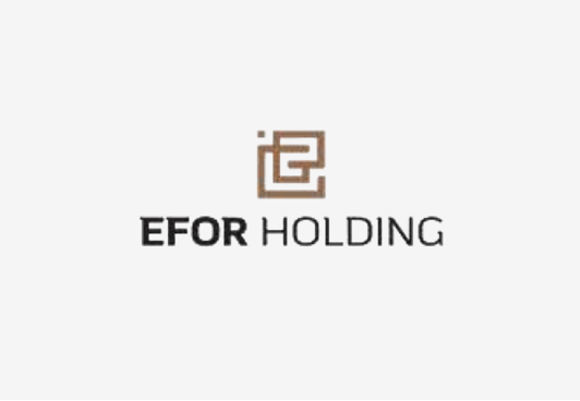 Efor Holding